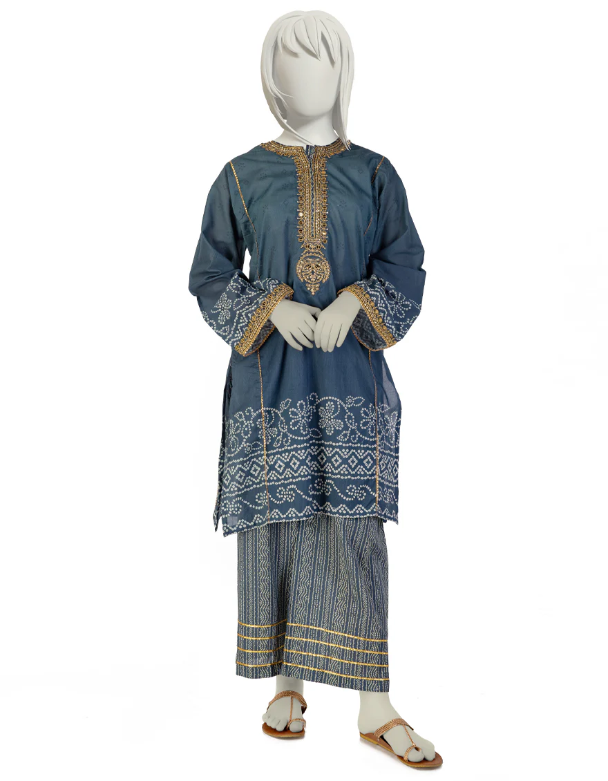 BLUE LAWN 2PC STITCHED | JGK-S-JTST-25-427 FB/ROZANA-9