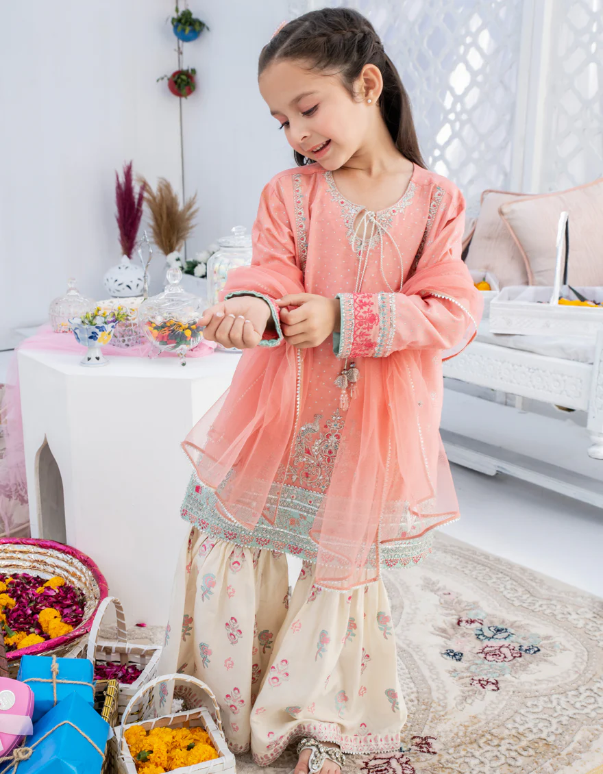 PEACH RAW SILK 3PC STITCHED | JGK-S-US-22-1911 FB/JH-141(MF-829)
