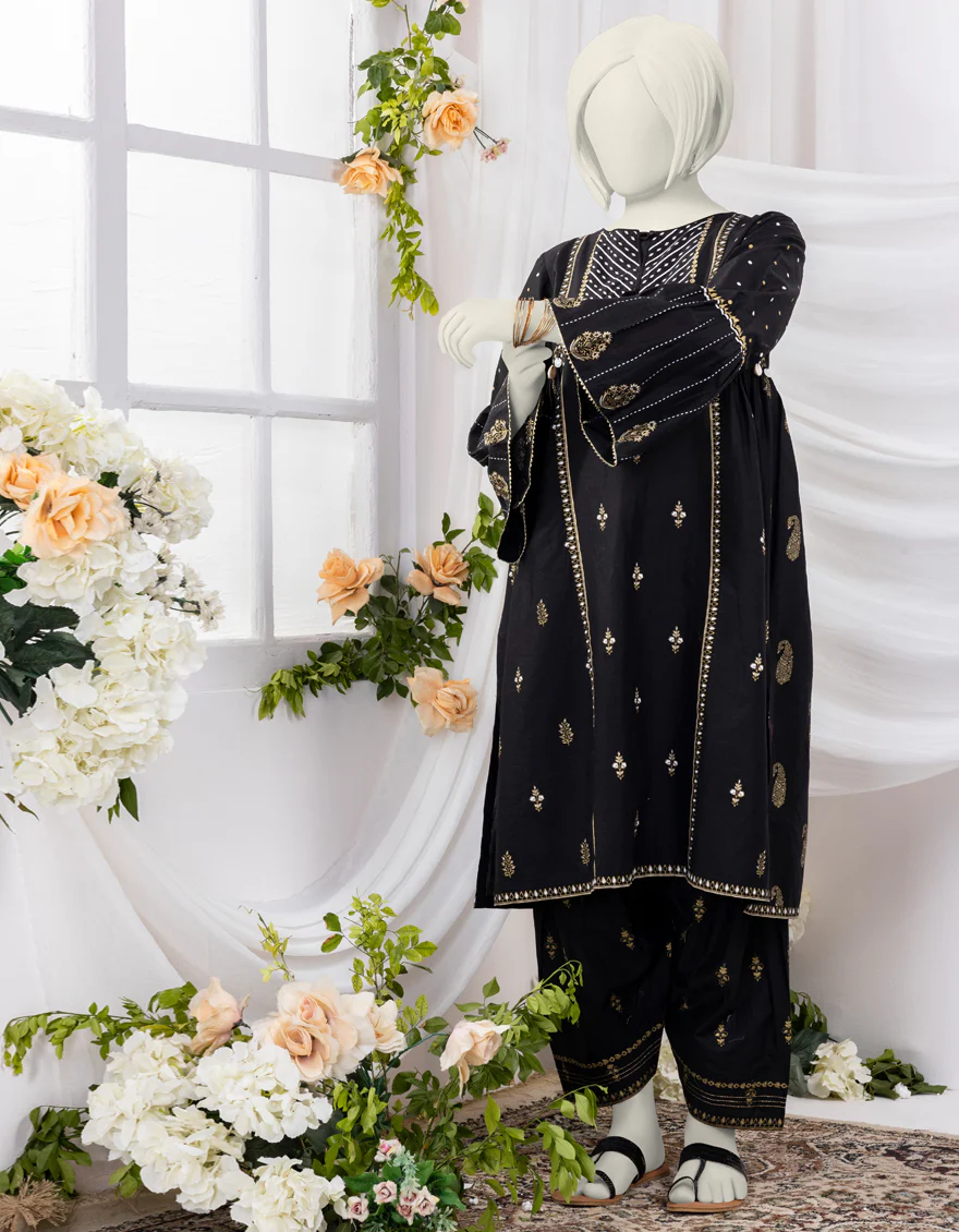 BLACK LAWN 2PC STITCHED | JGK-S-YGTL-430-24 FB/CHAPPAI-04