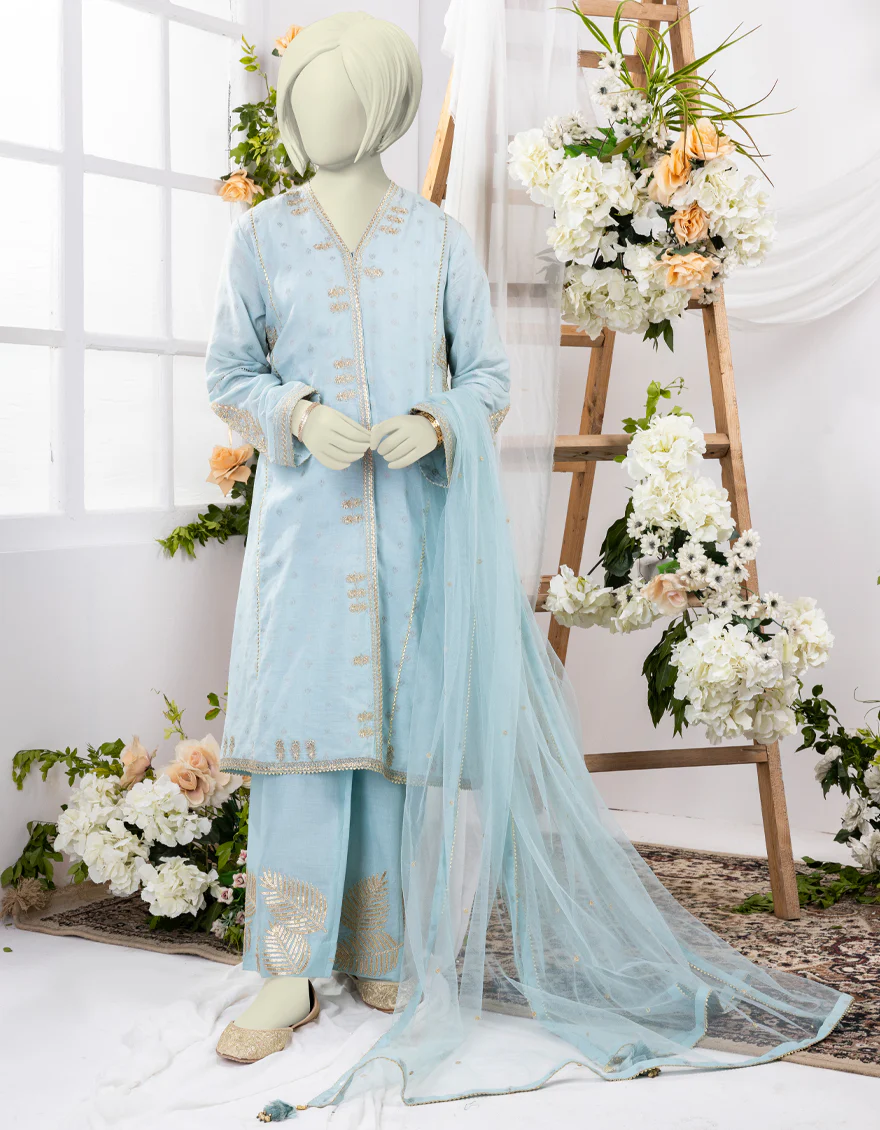 BLUE JACQUARD 3PC STITCHED | JGK-S-YGTL-629-24 FB/RUNG-E-ZARI-6