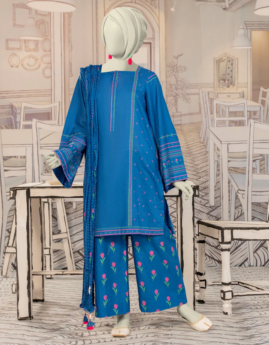 BLUE CAMBRIC 3PC STITCHED | JGK-W-YGTL-645-24 FB/CHAPPAI-01