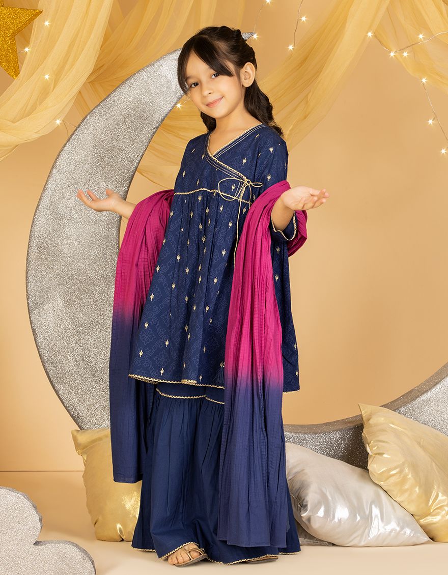 JGKL-S-US-21-1556 FB/DDC-20-006 Cookie