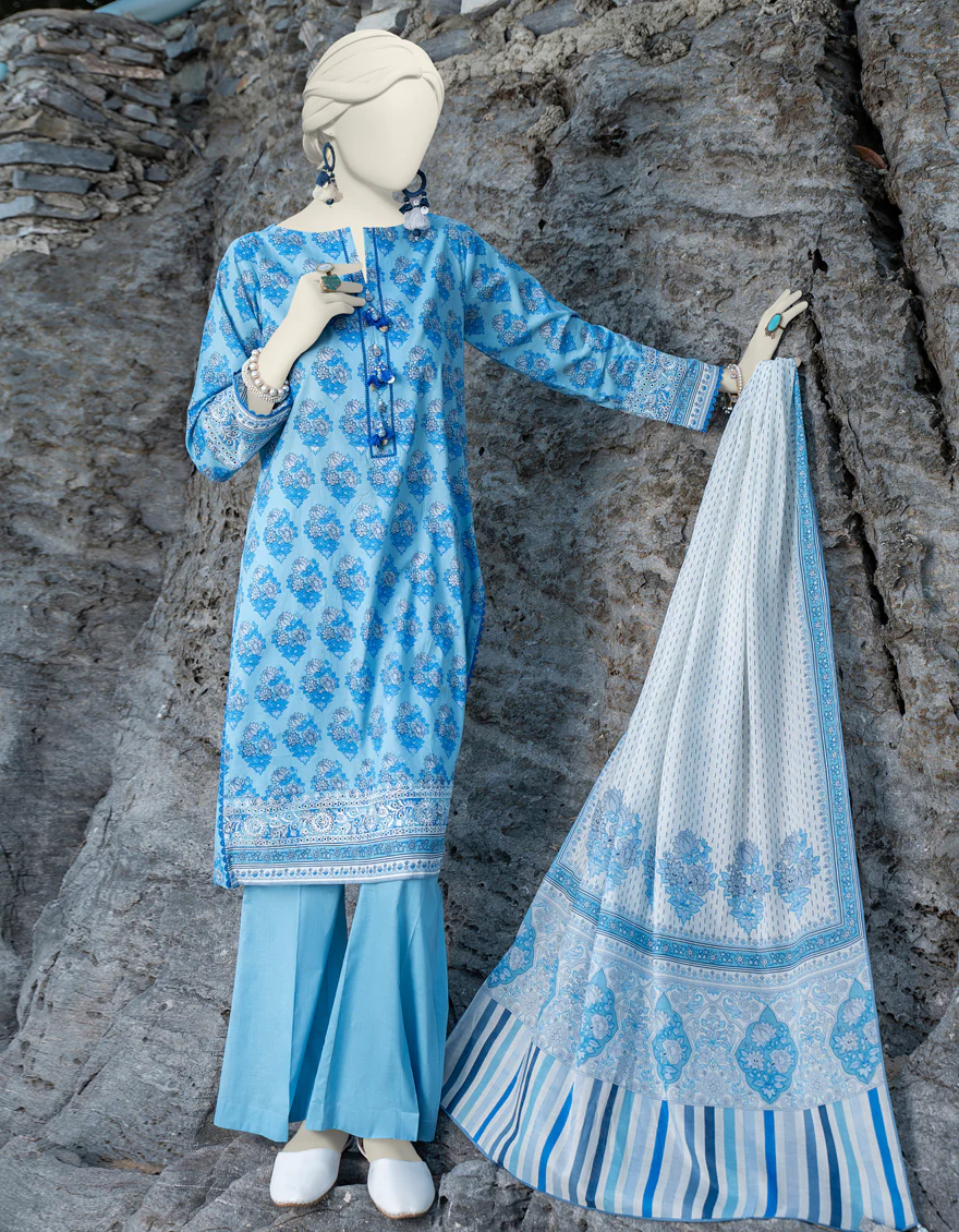 BLUE LAWN 2PC UNSTITCHED | JLAWN-S-JDS-24-1008 GRACE-4