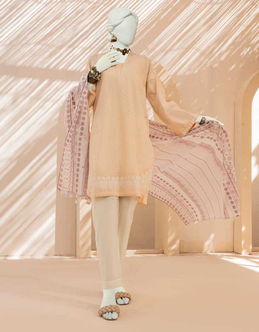 PEACH LAWN 2PC STITCHED | JLAWN-S-JDS-US-23-1001/S TILAT