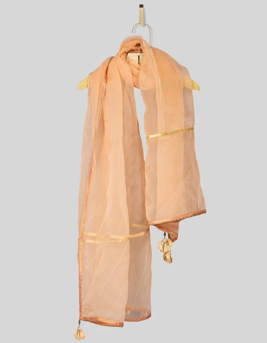 PEACH ORGANZA DUPATTA | JLDP-US-22-093 FB/AM-2062
