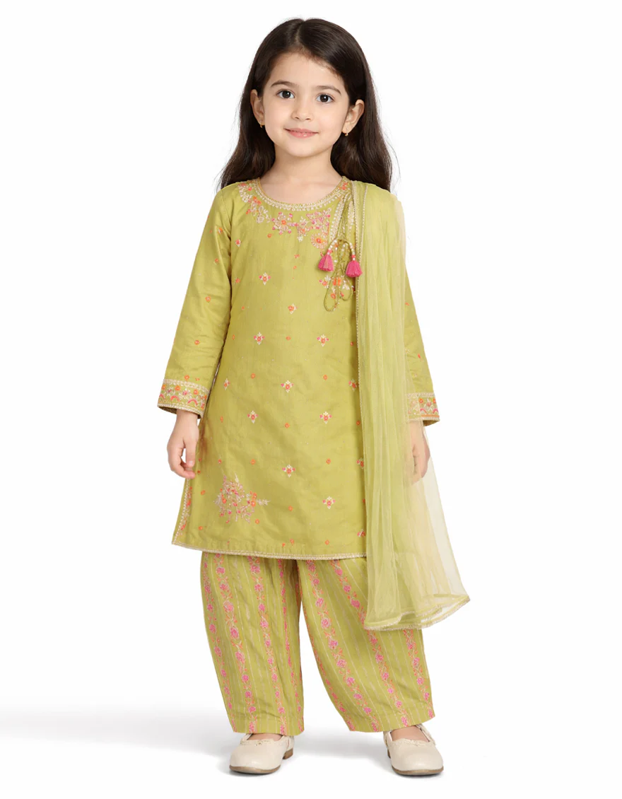 GREEN LAWN 3PC STITCHED | JGKL-S-JGF-26-1949 FB/SHIREEN-04 - Image 3